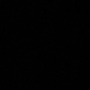 Meet your Posher, Shelby